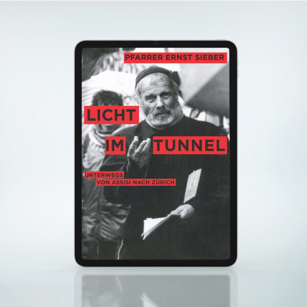 Licht im Tunnel (eBook)